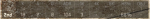 headshot.png
