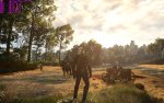 witcher3 2015-10-12 13-42-00-55.jpg