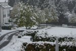 DSC02200.jpg