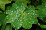 DSC04840.jpg