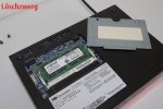 IMGP5560.JPG