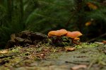 DSC_0061_DxO.jpg