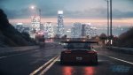 NFSLarryChen8.jpg