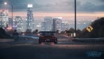 NFSLarryChen9.jpg