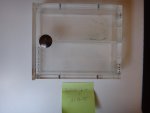 DSC05734.jpg