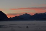 DSC_1875.JPG