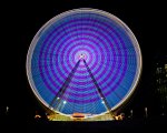 DSC04959.jpg