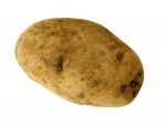 kartoffeln-c-6.jpg