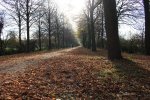 IMG_7998.JPG