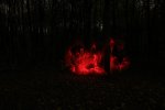 IMG_7960.JPG