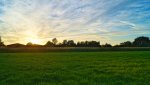 DSC04465.jpg