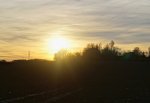 DSC05000-1.jpg