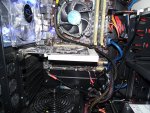 SAM_0810.jpg