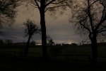 Feld Nachts.jpg