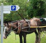 Horseparking.jpg