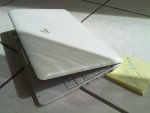 02052011282.jpg