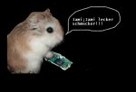 hamster.jpg