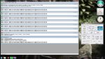prime.265.2.jpg