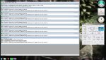 prime.265.jpg