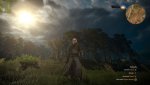 Witcher 3 5820k 4,5 Ghz 1.2 V.jpg