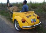 vwnewbeetlecabrioinmejjun2.jpg