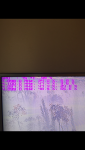 IMG_4967.PNG