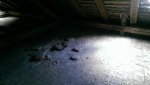IMAG0228.jpg