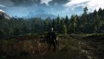 witcher3 2015-11-24 21-02-16-66.jpg