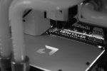 img_06355vjds.jpg