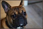 DSC05150-1-1.jpg