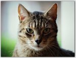 DSC05159-1-1.jpg