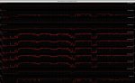 BF4 Auslastung.jpg