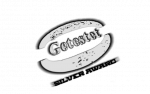 Silver Award.png