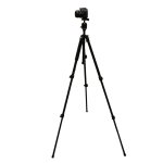 61ePm9P6MzL._SL1500_.jpg