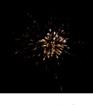 fw4.PNG