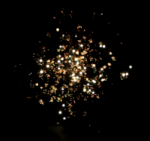 fw5.PNG