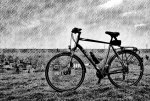 IMG_20160106_105128.jpg
