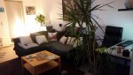 20160106_214900.jpg