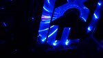 DSC00366.jpg