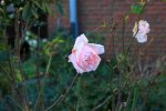 IMG_8586_Fotor.jpg