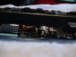 DSC01055.jpg