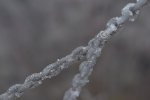 DSC_0269.JPG
