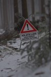 DSC_0278.JPG