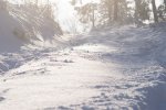 DSC_0725.jpg