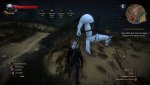 witcher3_2016_01_19_00_07_59_279.jpg