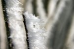 FlyPic 01.jpg