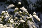 DSC08054_900.jpg