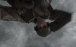 cod2sp_s_2016_01_25_21_01_12_188.jpg