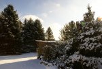 DSC08067_900.jpg