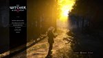 witcher3_2016_01_26_21_22_30_430.jpg